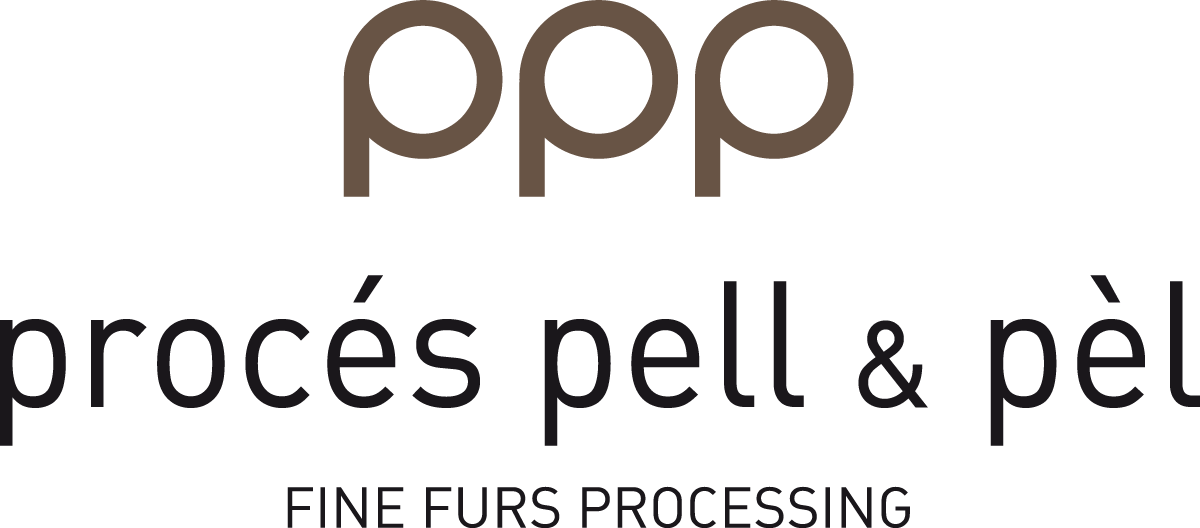Logo PPP