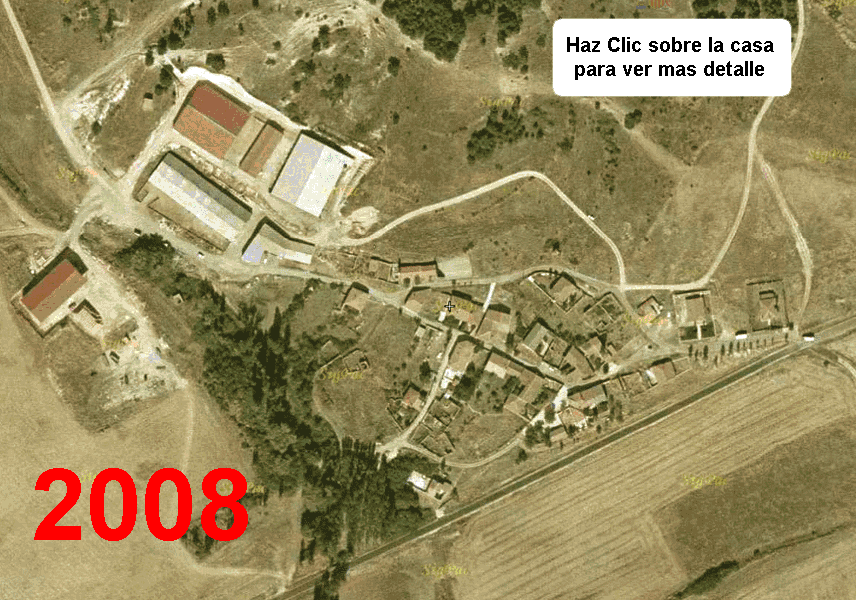 Ciruelos